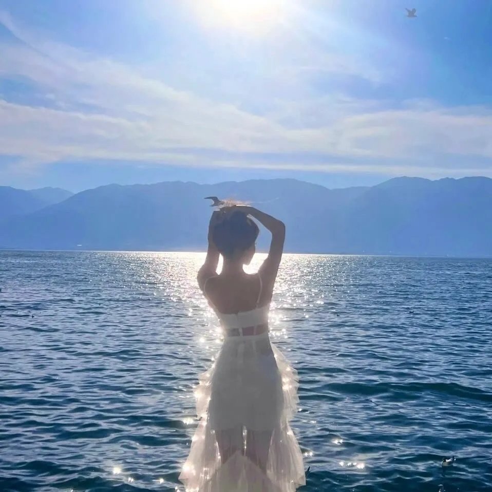 国家地理：大白鲨的长途冒险旅程